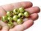 40 12mm Large Hole Pearls Light Green Pearl Beads Round Plastic Pearl Beads